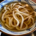 Marugame Seimen - かけうどんのアップ