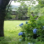 時の宿 すみれ - 裏庭のお花