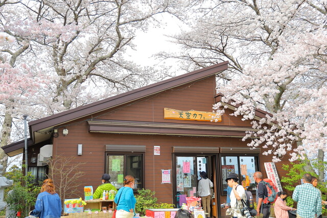 船岡城址公園 さくらの里 &ndash; 柴田町の観光スポット