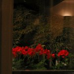 レストラン・モリエール - モリエール