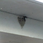 オーベルジュ土佐山 - 