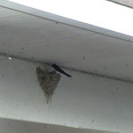 オーベルジュ土佐山 - 