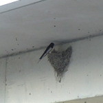 オーベルジュ土佐山 - 