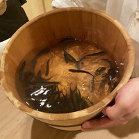 馬車道 大かわ - 稚鮎　元気よく泳いでます