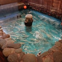 河太郎 中洲本店 - イカが泳いでいました