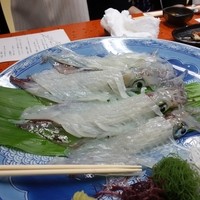 河太郎 中洲本店 - ヤリイカの刺身