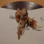 伯雲 - 蛍烏賊の天ぷら