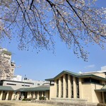 自由学園明日館 - 今年の桜は一週間早かったのですが満開に間に合いました