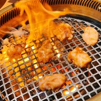 ホルモン焼肉 富や 栄店 - ホルモン