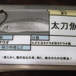 Ryoushi Goya - お魚図鑑