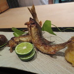 日本料理 晴山 - 鮎は岐阜・吉田川。トウモロコシの揚物に牛蒡のおもちが。