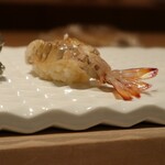 鮨 木島 - 車海老、さっきまで泳いでいたと