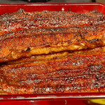 炭焼うな富士 東京ミッドタウン八重洲店 - 