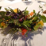 レフェルヴェソンス - 