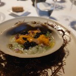 レフェルヴェソンス - 