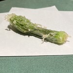 江戸前晋作 - コシアブラ