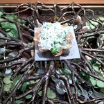 ラチュレ - 千葉産スミイカのタルトレット