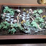 ラチュレ - セッティング