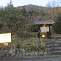 洋食 つばき - 
