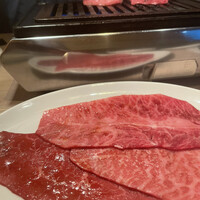 うしごろバンビーナ 渋谷店 -  うしごろバンビーナ 渋谷店 -