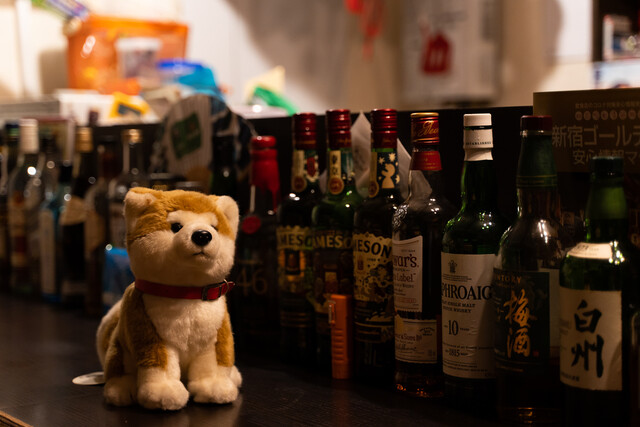 Kusan Chippe photo 3