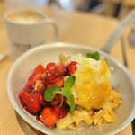 アイボリッシュ - 