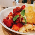 アイボリッシュ - 