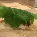 鮨 もりなり - ホタルイカ