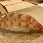 鮨 もりなり - クルマエビ