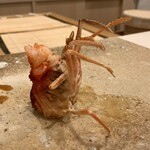 鮨 もりなり - クルマエビ