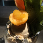 PATISSERIE ASAKO IWAYANAGI - パルフェビジュー®︎ ジャポネ ビワ