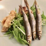 魚津屋 - あん肝味噌漬け、海産の鮎、穴子