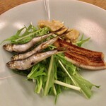 魚津屋 - あん肝味噌漬け、海産の鮎、穴子