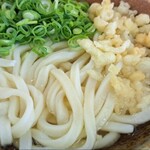 桃山亭 - かけうどん(並)