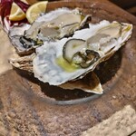 ブラチェリア デリツィオーゾ イタリア - 