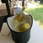 フォリオリーナ・デッラ・ポルタ・フォルトゥーナ - フランチャコルタ　マグナムボトル