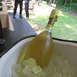 フォリオリーナ・デッラ・ポルタ・フォルトゥーナ - フランチャコルタ　マグナムボトル