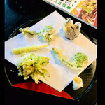 郷土料理ともん - 山菜の天麩羅　一皿目　　にわとこ　なまきくらげ　こごみ　ふきのとう　まがりだけ　