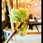 郷土料理ともん - 摘んでから時間の経っていないコシアブラを食べれるのは、かなりラッキーです　byまみこまみこ