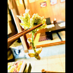 郷土料理ともん - にわとこの天麩羅　byまみこまみこ