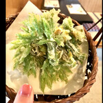 郷土料理ともん - 昨日、新潟◯◯川エリアで採取してきたばかりのコシアブラ　byまみこまみこ