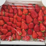 天然酵母栽培 Linden - 