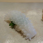 たつ庄 - ヤリイカ