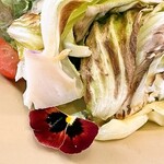 農家ピザくまのグラッチェ - あっぷ