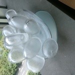 アルゴ - 置物が面白い、夜は光るのかな