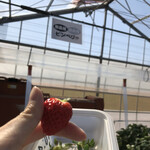 松井ファーム - 