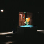 SAKEBARO NAKAMEGURO - 