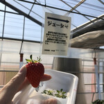 松井ファーム - 