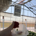 松井ファーム - 