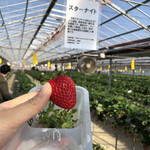 松井ファーム - 